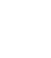 Chalet Salena 2020