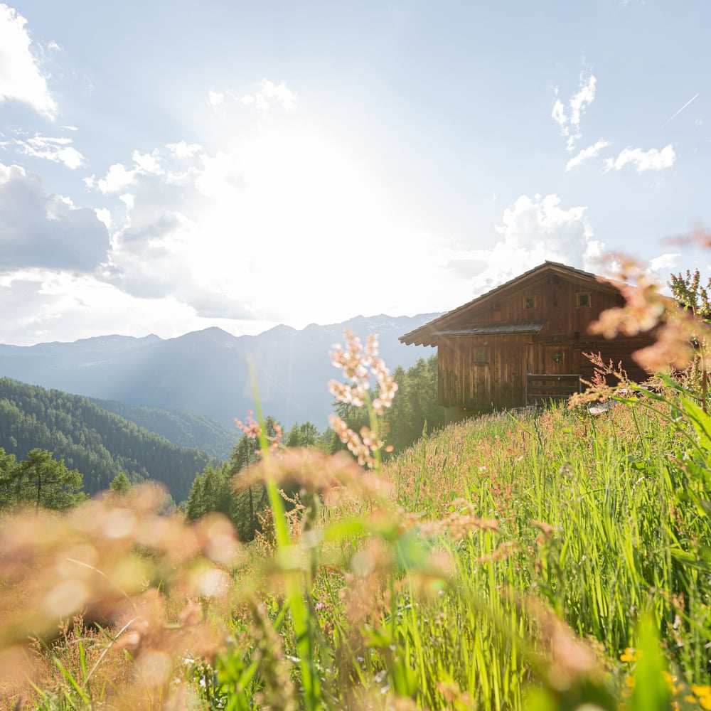 Direkt in die Berge