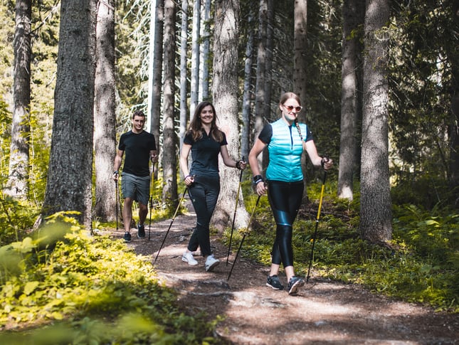 Nordic walking Alto Adige