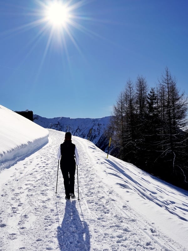 Programma d'attività