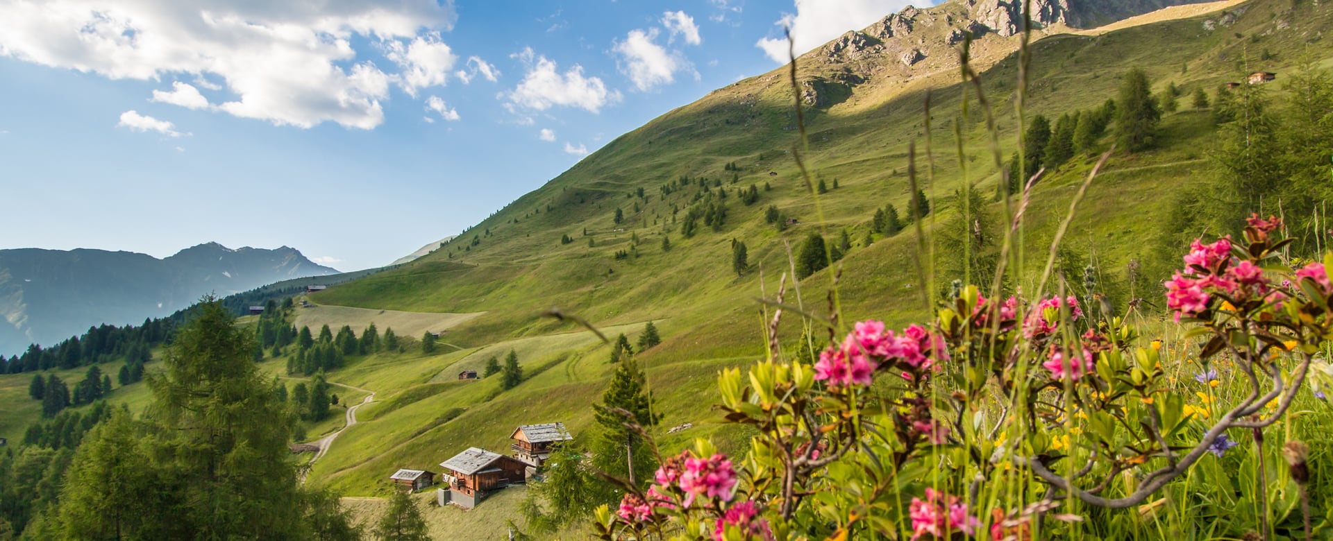 Mountain paradise