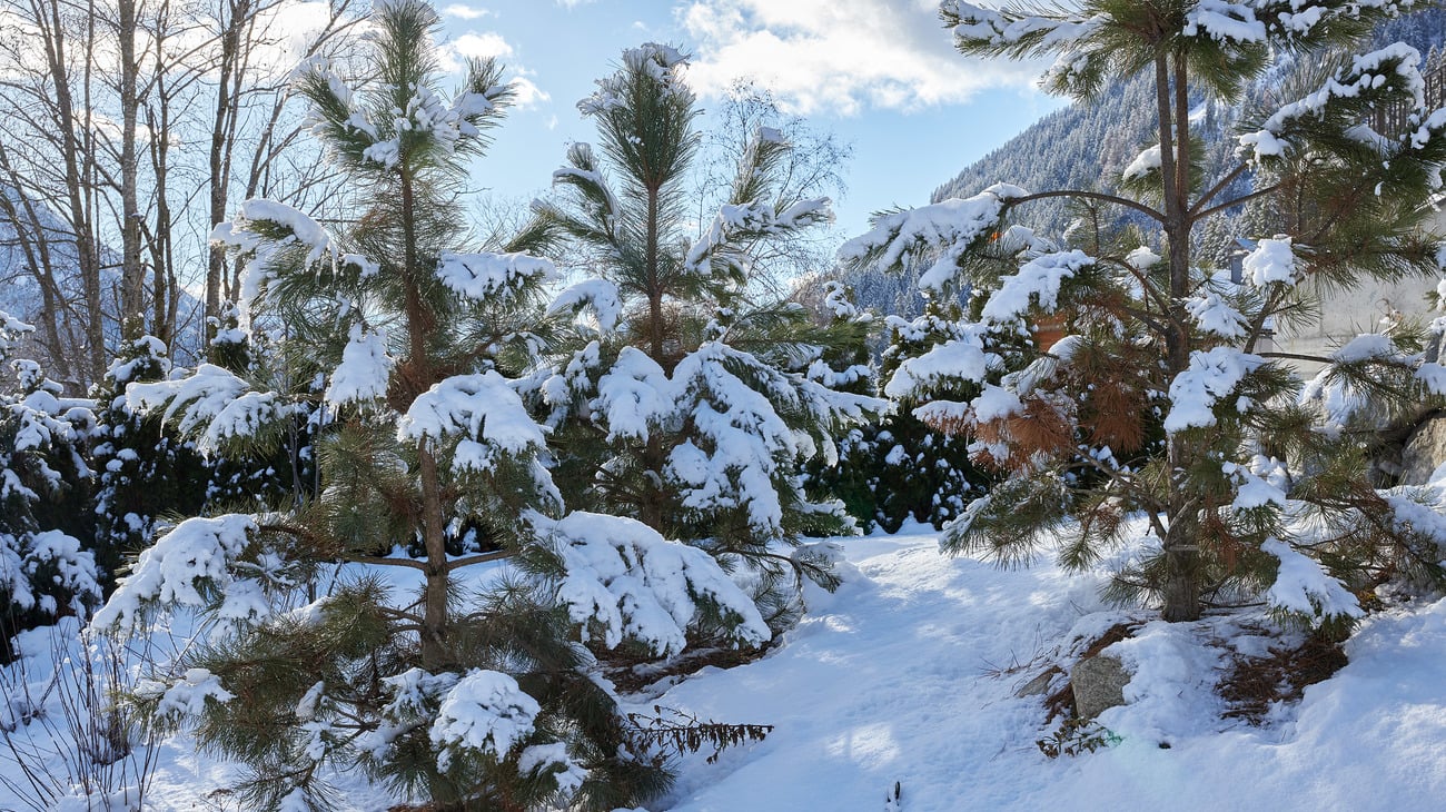 Natale nelle Dolomiti