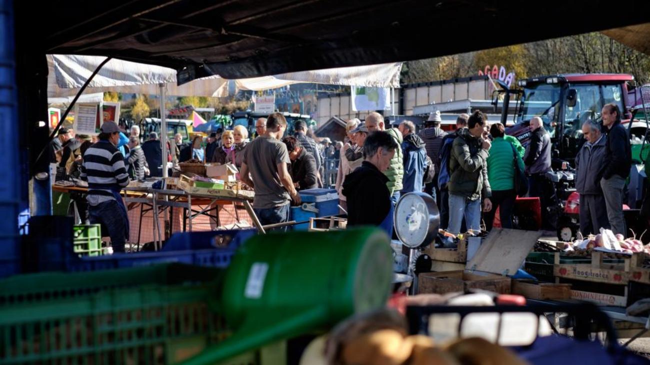 Mercato di Stegona