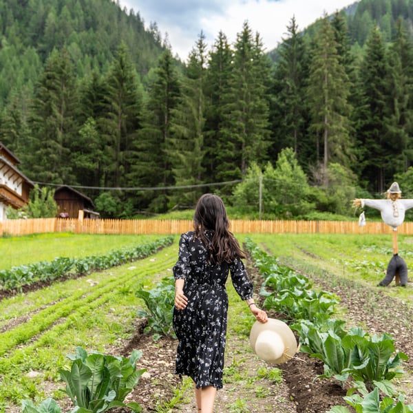 Eco Farm