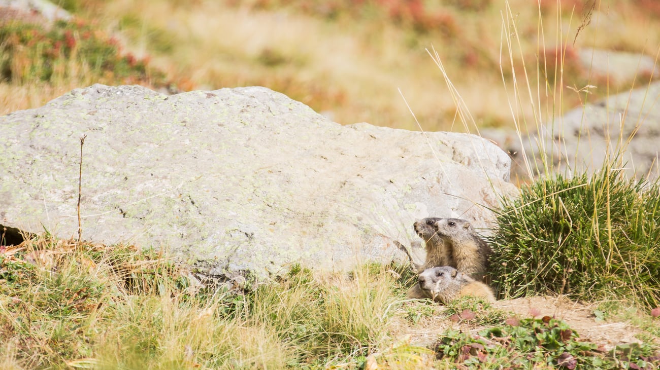 Dolomiten Unesco Weltnaturerbe