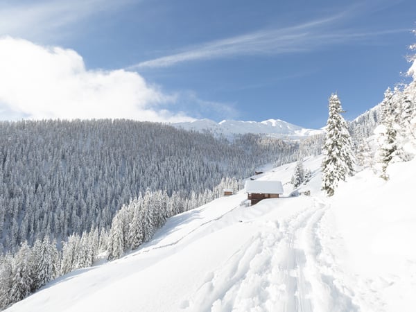 Settimane d'attività in inverno